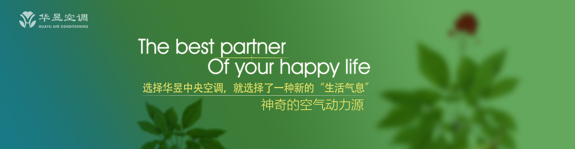 不折不扣网